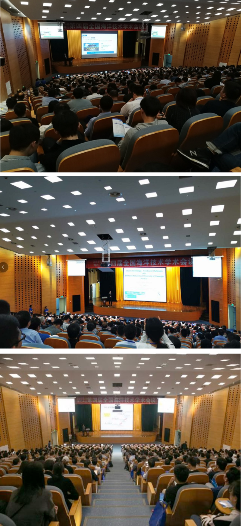 大会报告